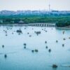 Boats on Water Near Birdge, in Beijing, China