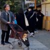 A Tokyo, Un homme balade dans une poussette son chien, ©Anouk Ait Ouadda