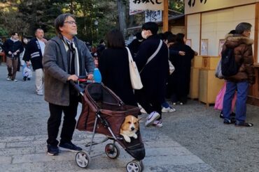 A Tokyo, Un homme balade dans une poussette son chien, ©Anouk Ait Ouadda