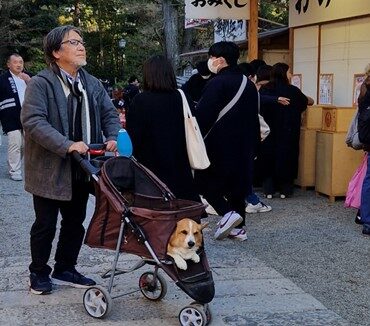 A Tokyo, Un homme balade dans une poussette son chien, ©Anouk Ait Ouadda