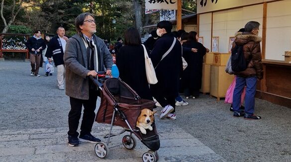 A Tokyo, Un homme balade dans une poussette son chien, ©Anouk Ait Ouadda