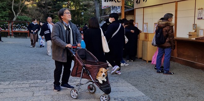 A Tokyo, Un homme balade dans une poussette son chien, ©Anouk Ait Ouadda